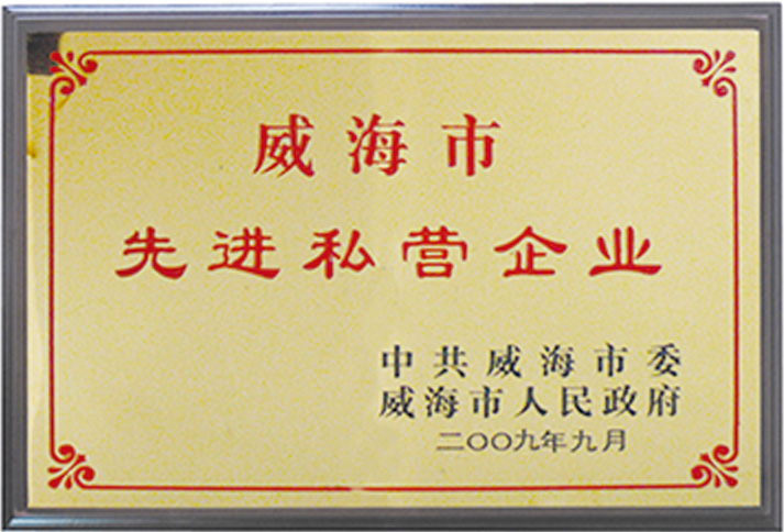 �����Ƚ�˽Ӫ��ҵ 